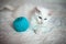 White kitten playing with a ball of yarn