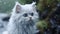 White Kitten In Unreal Engine 5: Hyper-realistic Furry Art In Rain