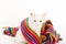 White kitten wrapped with a colorful scarf