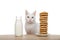 White kitten with yellow right eye and blue left sitting at table with large stack of chocolate chip cookies and bottle of milk