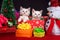 White kittens in christmas presents