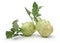 White kohlrabi