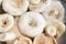 White Lactarius resimus mushroom genus Lactarius family Russulaceae. Natural background of raw peeled mushrooms, close-up