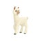 White lama alpaca guanaco llama vicuna animal icon
