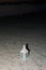 White lantern on the coast at night. standing on the sand