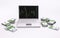 White laptop with chart and stacks of euros 3d