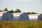 White large army tents. rescue camp.