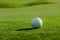 White leather ball on green lawn