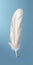 White light airy soft bird feather with transparent 1690444380018 2