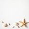 White light background with seashells and sea stars for the site frame for text. Journey to the sea is a memory.