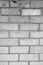 White light grey old aged weathered fine brick wall texture, grungy damaged calcium silicate bricks pattern detail background