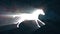 White light horse running silhouette on space background new quality unique animation dynamic joyful 4k video stock