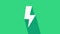 White Lightning bolt icon isolated on green background. Flash sign. Charge flash icon. Thunder bolt. Lighting strike. 4K