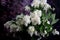 White Lilac Agnes Smith flowers - syringa prestoniae agnes smith in glas vase and dark purple flower background