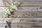 White lilac on wooden background. old rustic table, a coil of twine and garden ozhnitsy. top view