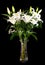 White lilies