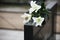 White lilies on black granite tombstone. Funeral ceremony