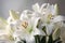 White lilies closeup floral bouquet. Generate Ai