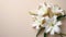 White Lilies on Pastel Background. Easter Serenity. Christian symbolism.