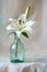 White lily flower in a glass vase. Classical still life