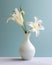 White lily flowers in vase on blue background. Minimal style.