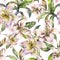 White Lily Seamless Pattern, Watercolor Royal Lilies Flowers, Vintage Floral Texture