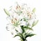 White Lily Watercolor Painting: Hyper-realistic Floral Illustration For Photoshop