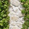 White Limestone Wall Hidden In Hanging Green Grape Vines Backg