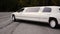 The white limousine is developed to the road near the wood