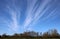 White lines thin high altitude cloud above trees