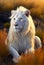 The White Lion of the High Mountain Border