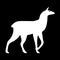 White llama silhouette on black background. Animal vector isolated for logo or mascot.