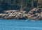 White Lobster Boat Along Rocky Maine Coast