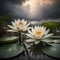 white lotus, floating in a mysterious lake, gentle blur, fog, twilight, Illustration