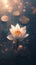 White lotus flower blooms above dark water, surrounded by glistening lily pads under a warm, hazy light