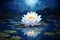 White lotus flower illuminating in moonlight on dark blue water background in a serene night scene