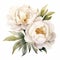 White Love Peony Watercolor Painting For Powerpoint