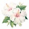 White Love: A Realistic Watercolor Painting Of Hibiscus Flowers