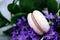 White macaroons with purple flowers, macro