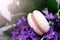 White macaroons with purple flowers, macro