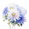 White Magic Aster Watercolor Painting On White Background