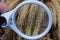 A white magnifier in the hand enhances dry brown plants with spikelets of wheat and seeds