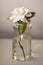 White Magnolia Flower in Glass Vase