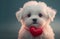 White Maltese Puppy Wearing A Heart On Collar - Generative AI