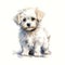 White Maltese puppy on a white background. Cute digital watercolour for dog lovers