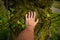 White man hand resting over a mossy tree trunk