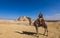 White Man and Woman Tourists are Riding on the Camels with the Great Pyramid on Background in Giza