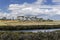 White mangroves and eucalyptus trees