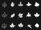 White maple icons on black background