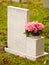 White marble gravestone from behind with pink flowers cemetery